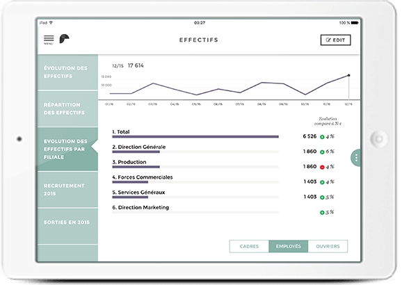 Toucan - Toco Toucan: planning management of the sales force