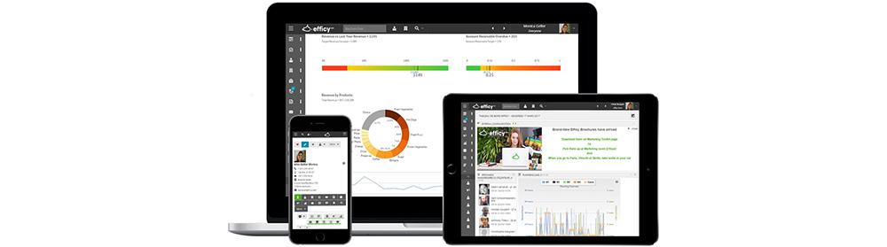 efficy Enterprise CRM : Solução Avançada para Gestão de Relacionamento CRM
