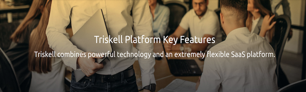 Triskell Software : A flexible Project Portfolio Management solution