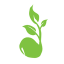 Accounting Seed logo