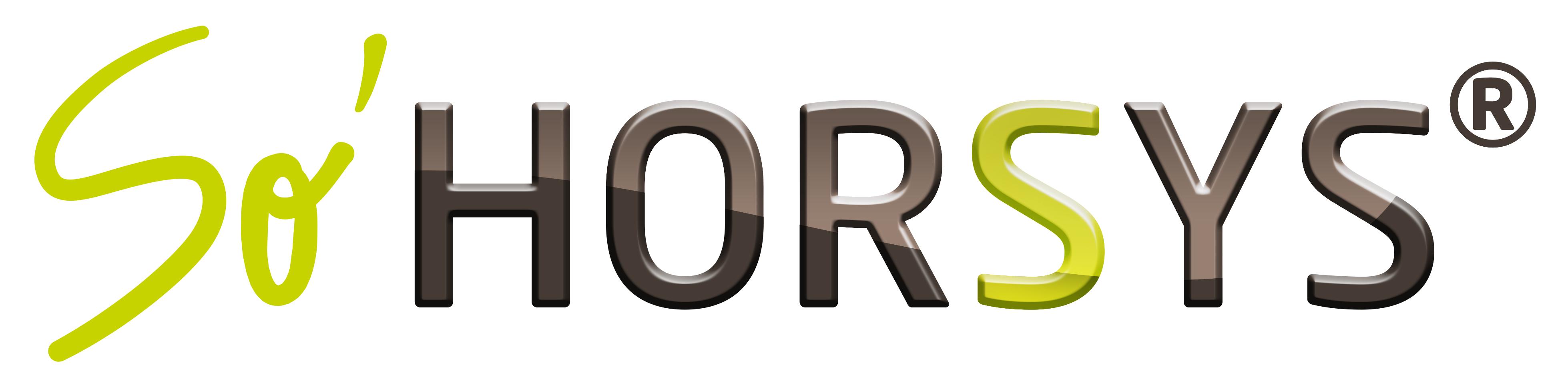 So'Horsys : Optimized Workforce Management for Businesses