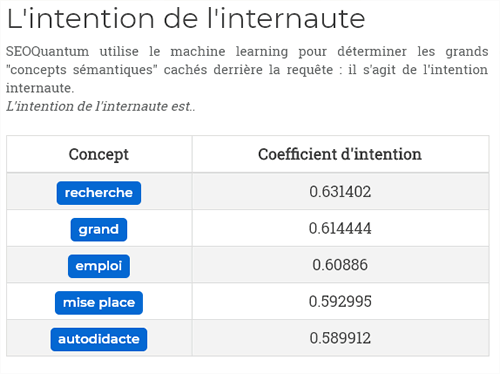 SEOQuantum - Screenshot 4