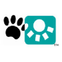 Animal Intelligence logo