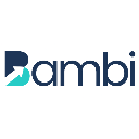 Bambi NEMT logo