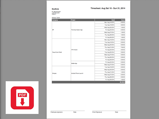 Beebole - Beebole - exportable reports